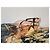 Céline Gafas de sol raras Celine Podium Rosa - vista 13