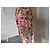 Autre Marque Conjunto de blazer e calça Manigance floral em algodão Multicor - vista 4