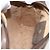 GUCCI GG Supreme Web Sherry Line Clutch Bag PVC Beige Oro 63 01 012 Auth mr1689 D'oro - vista 11