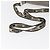 Fendi Borsa a Spalla Celeria in Pelle Argento Auth BA8920 - vista 7
