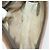 GUCCI GG Supreme Clutch Bag PVC 4 Set Beige Auth 151535 - vista 13