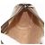 Borsa Sherry Line GG Supreme Web di GUCCI in PVC beige e oro 89 02 018 Auth 157752 D'oro - vista 19