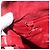 Borsa a Spalla LOEWE Camoscio Rosso Oro Auth 160681 D'oro - vista 17