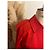 Gabardina Burberry Roja con Mangas Murciélago