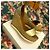 Sandali See by Chloé in pelle oro D'oro - vista 4
