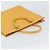 LOUIS VUITTON Borsa Sac Plat Epi Gialla M52079 LV Auth 160870 Giallo - vista 6