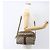 Borsa Sherry Line GG Supreme Web di GUCCI in PVC beige e oro 68 02 005 Auth 158512 D'oro - vista 24