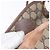 Gucci Borsa a Spalla GG Supreme PVC Beige Oro 007 115 6087 Auth ka1027 D'oro - vista 22