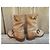 Botas Véronica Short de cuero beige Frye - vista 5