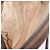 Borsa a Spalla GUCCI GG Supreme Web Sherry Line PVC Beige Oro Auth bs32048 D'oro - vista 17