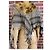 Gucci Monogramm Poncho. Grau - Ansicht 5