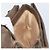 GUCCI GG Supreme Clutch Bag PVC Beige Oro 004 106 0024 Auth 160587 - vista 18