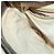 Borsa Sherry Line GG Supreme Web di GUCCI in PVC beige e oro 41 001 4085 Auth 156428 D'oro - vista 19