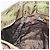 PRADA Borsa a mano in nylon verde oro Auth 159309 D'oro - vista 19