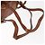 Zaino in pelle Gucci Bamboo marrone oro 003 1956 0030 Auth 153732 - vista 9