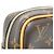 Borsa Danube Monogram Archive di Louis Vuitton Marrone Monogramma - vista 4