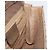 Gucci Borsa a Spalla GG Supreme PVC Beige Oro Auth BA9294 D'oro - vista 19