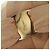 Borsa a Spalla Salvatore Ferragamo in Tela Beige Oro Auth bs31859 - vista 17