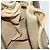 Gucci Borsa GG Supreme Web Sherry Line PVC Beige Oro 41 02 034 Auth 156424 D'oro - vista 18