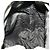 PRADA Backpack Nylon Beige Silver Auth 156861 Silvery - view 23