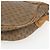 Bolsa Sherry Line em PVC Bege Micro GG Supreme Web da GUCCI 001 58 0918 Auth 148581 Dourado - vista 14