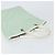 Borsa Tote GG Canvas Gucci Menta Oro 002 1098 3444 Auth gh1620 D'oro Verde - vista 6
