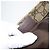 Gucci Borsa a Spalla GG Supreme PVC Beige Oro 201446 Auth BA9409 D'oro - vista 12