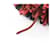Hermès Hermes Carmen Keychain Black Red  - view 5