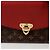 Louis Vuitton Borsa a tracolla incrociata Placid Graceful Rosso - vista 2