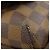 Borsa a Spalla Brooklyn MM N51211 di Louis Vuitton Marrone Damier ebene - vista 16