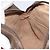 Borsa a Spalla Gucci GG Supreme Web Sherry Line PVC Beige 119 02 088 Auth 162979 - vista 19