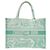 Borsa tote verde menta Christian Dior