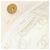 CHANEL Borsa a Spalla Camelia Pelle Verniciata Avorio Oro CC Auth 161438 D'oro Crudo - vista 20