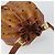 Borsa a Spalla MCM Logogram Vicetos PVC Marrone Oro Auth 162987 D'oro - vista 6