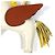 Charm per Borsa Hermès Rodeo Pegasus GM Marrone Bianco Giallo - vista 6