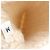 Beige Kaschmirhandschuhe von Hermès - Ansicht 4