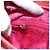 Borsa a Mano Gancini Salvatore Ferragamo Smalto Rosso Argento Auth 161440 - vista 22