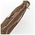 Borsa a Spalla Gucci Micro GG Canvas Web Sherry Line Marrone Oro Rosso Auth 162991 D'oro - vista 6