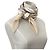 Silk In Bufanda plisada CRONLAND de Hermès Multicolor Beige - vista 6