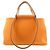 Borsa Hermès Cabag Elan PM Toile Officier Vache Hunter Arancione