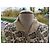 Stella Mc Cartney Chaqueta Stella McCartney Oversize de Algodón Multicolor - vista 3