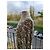 Stella Mc Cartney Chaqueta Stella McCartney Oversize de Algodón Multicolor - vista 5