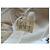 Autre Marque Beige Kurzarmbluse 'Arona' - Ansicht 6