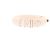 Autre Marque Bracciale LIVIANA CONTI HOOP Beige - vista 4