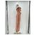 Autre Marque SHANI SHEMER Rosa Bustierkleid Pink - Ansicht 3