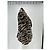 Zadig & Voltaire Blazer aus Kunstfell Zebra Print Schwarz - Ansicht 3