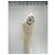 Maglione senza maniche Soeur in misto lana crema Beige - vista 4