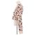 Paco Rabanne Wollpullover mit Blumenmuster Beige XS - Ansicht 3