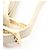 Borsa a Spalla Anagram LOEWE Beige Crudo - vista 9