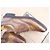 Autre Marque Scarpe derby Campanile 9/5 43,5 senza forme Marrone chiaro - vista 10